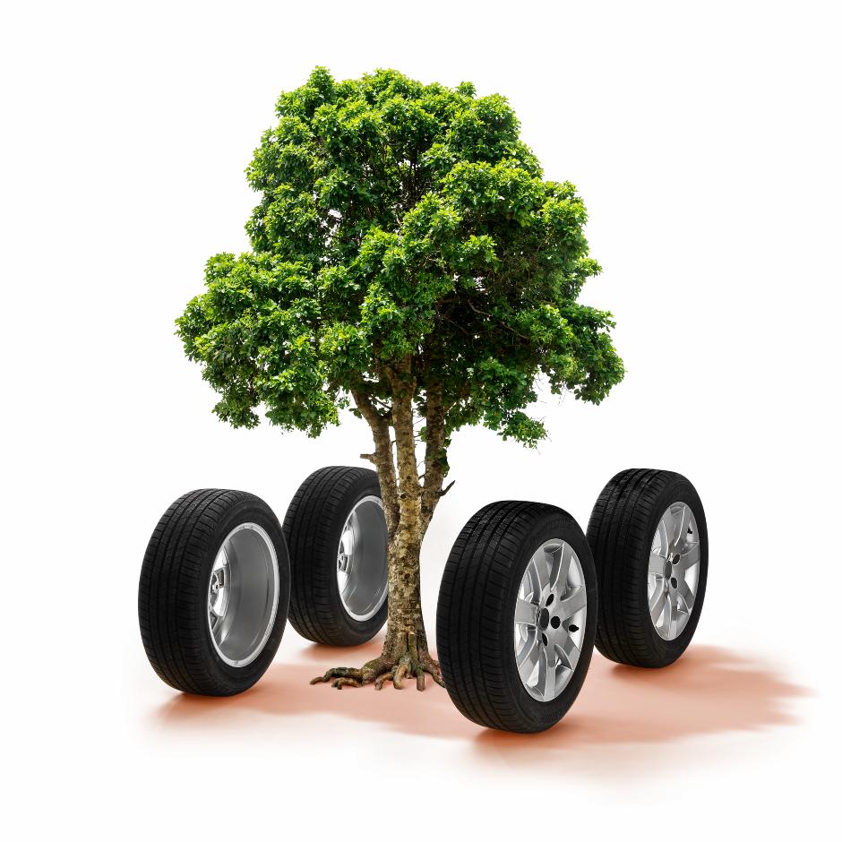 Plant et træ ved hvert serviceeftersyn